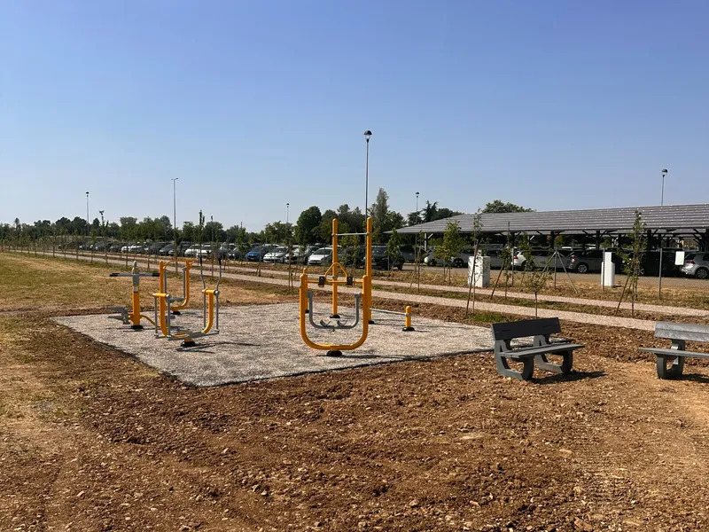 Palestra outdoor aziendale realizzata presso Sidel nell'area verde sviluppata in collaborazione con KM Verde Parma