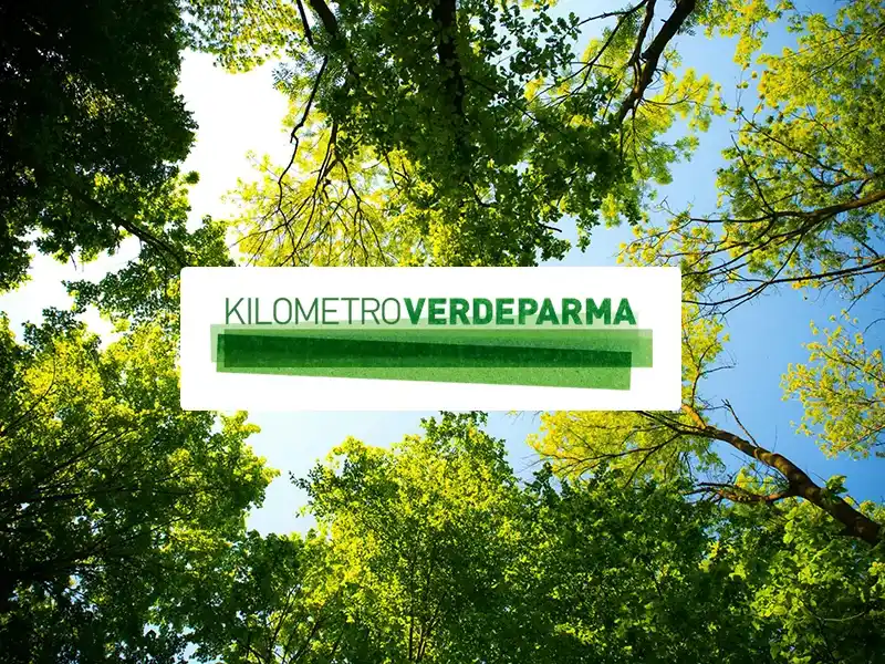 Gea Km verde